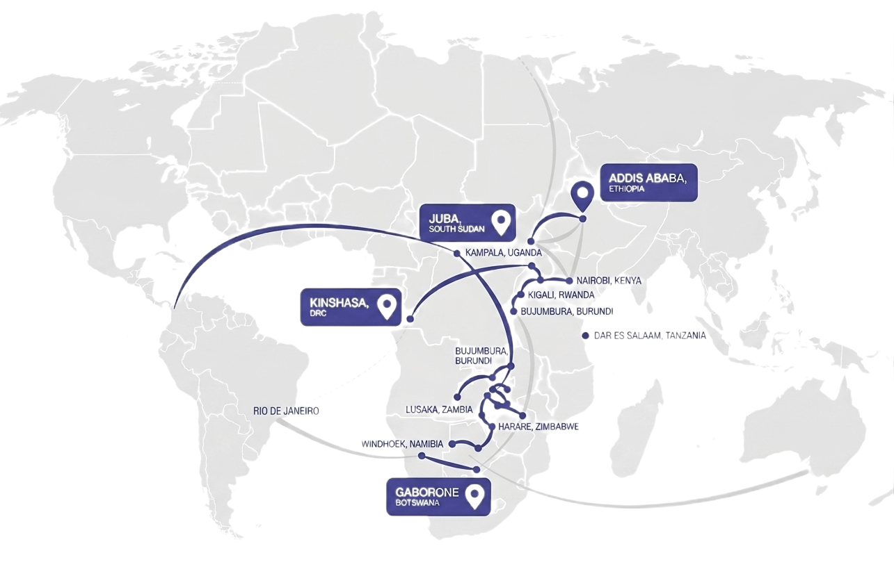 Bychem distribution network